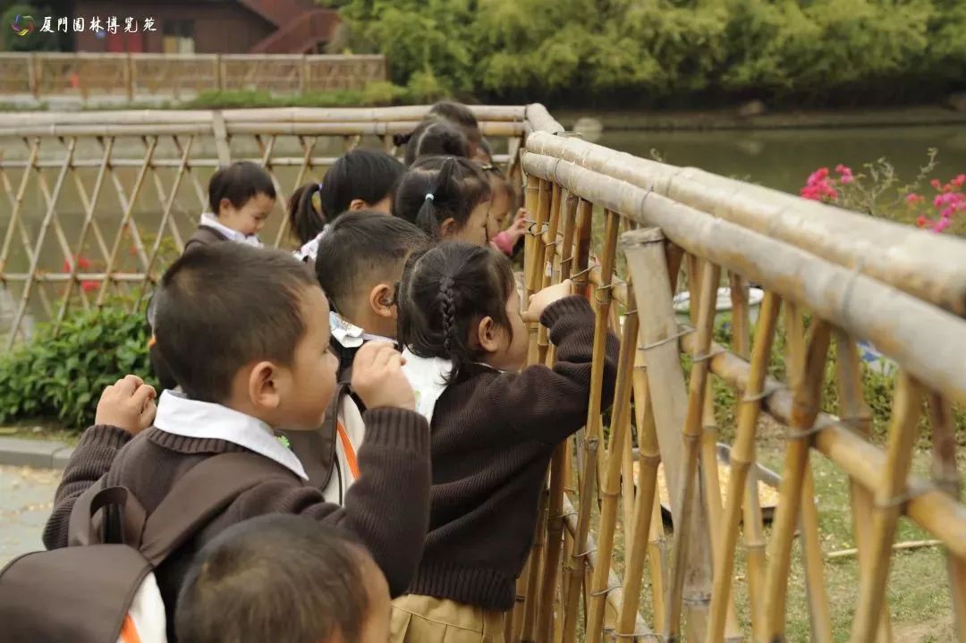 厦门适合带孩子去玩的地方推荐,厦门6月份哪里好玩