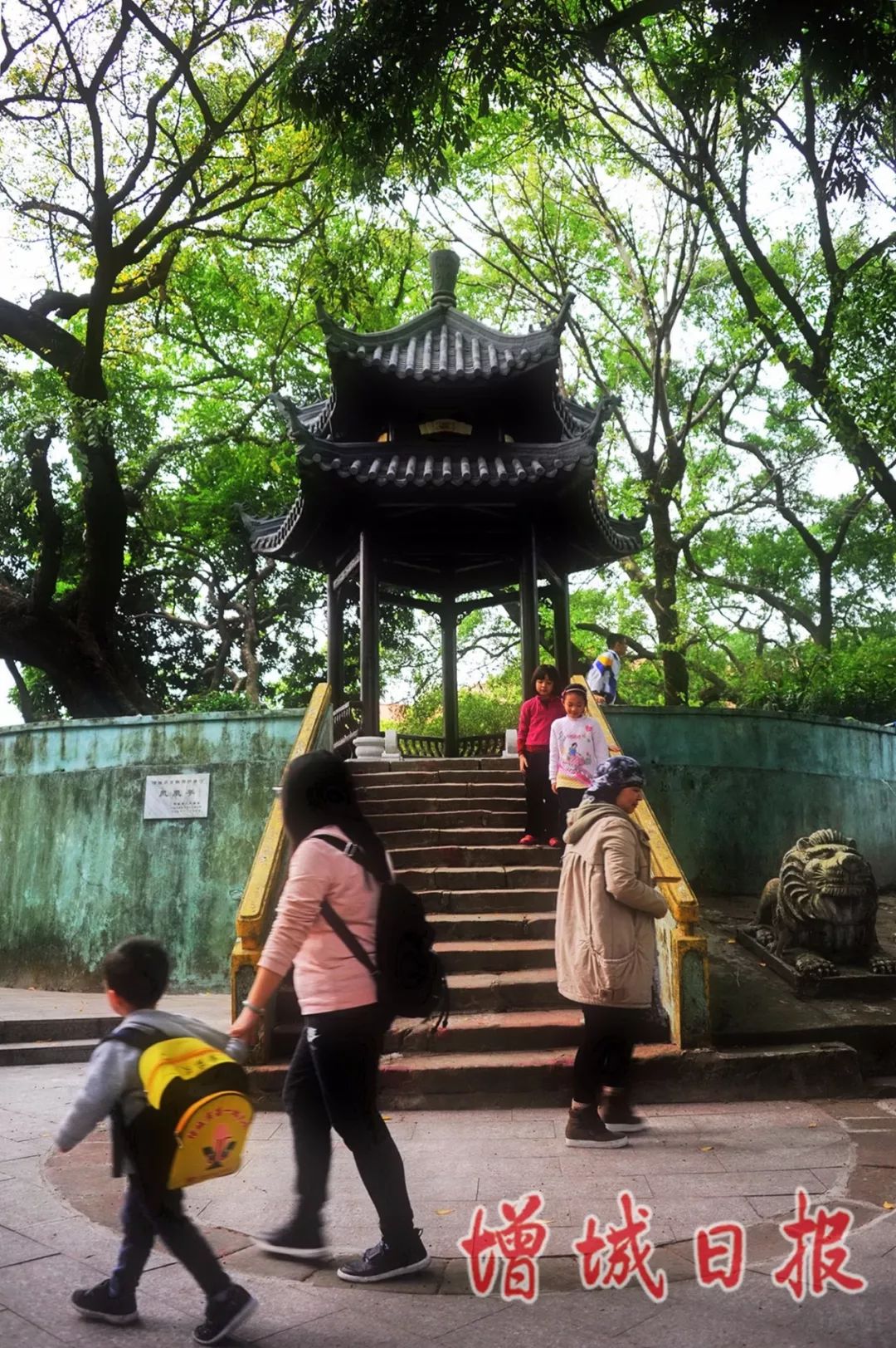 60张照片回忆成长,60多张老照片的回忆