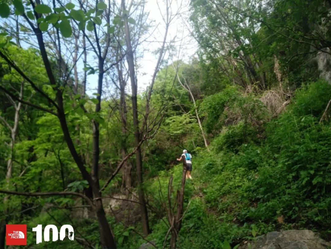 tnf100官网成绩查询,tnf100秦岭国际越野跑