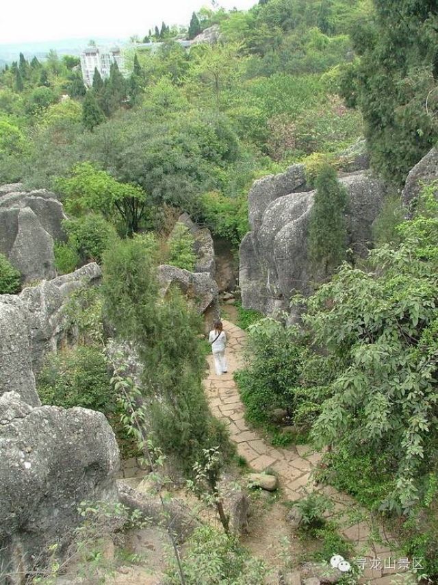 寻龙山团购,寻龙谷19.9门票购买