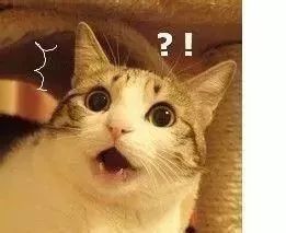 日本网红眼药水国外被禁售,4款网红眼药水真的安全好用吗