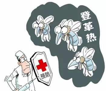 登革热高发期预防知识,登革热高发季节防蚊吗