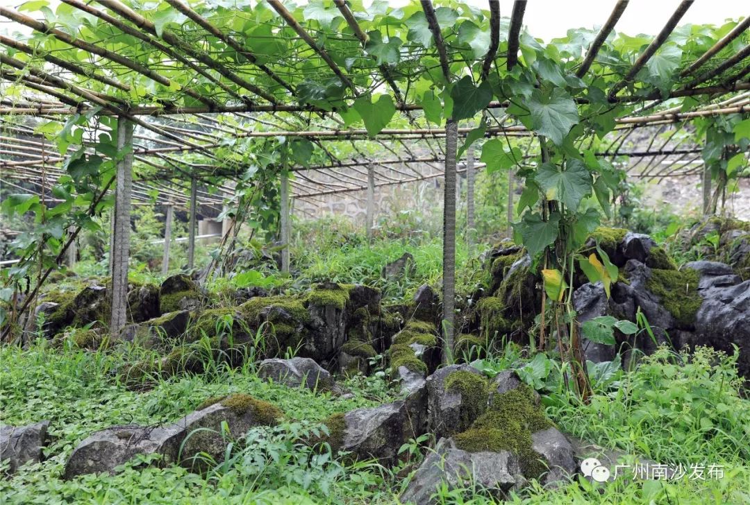 榛斿崡鑴辫传鏀诲潥涔℃潙鎸叴,鑱氱劍榛斿崡鑴辫传鏀诲潥