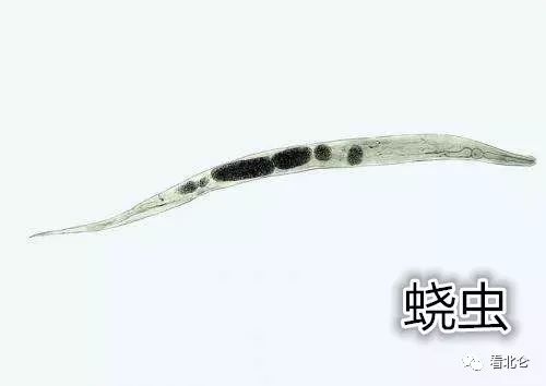 宝宝屁股痒痒怎么止痒,宝宝屁股痒怎样止痒