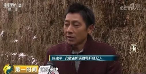 玉米秸秆1万吨利润,1万元秸秆生意