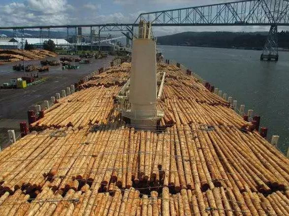 木材科普知识大全,木材海运怎么计费