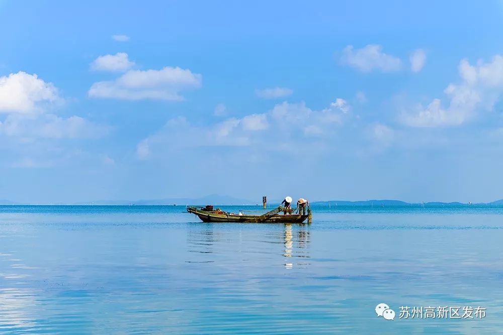 请回答2017,请回答2020总结