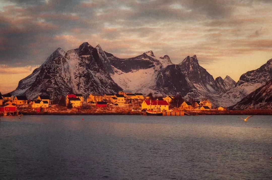 罗弗敦群岛游记,罗弗敦群岛来场浪漫之旅吧