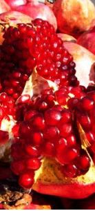 【推荐】在蒙自故事里，这句吆喝声叫了34年~~