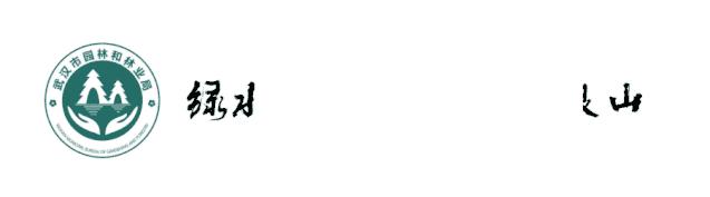 改革成果：青山北湖新城——300米进园，1公里进林带，3公里进森林