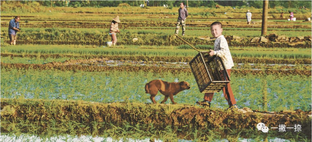 人民日报最经典照片,人民日报最惊艳的图片