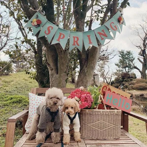 42岁翘臀“老阿姨”迷倒小16岁男友：年龄从来都不是借口