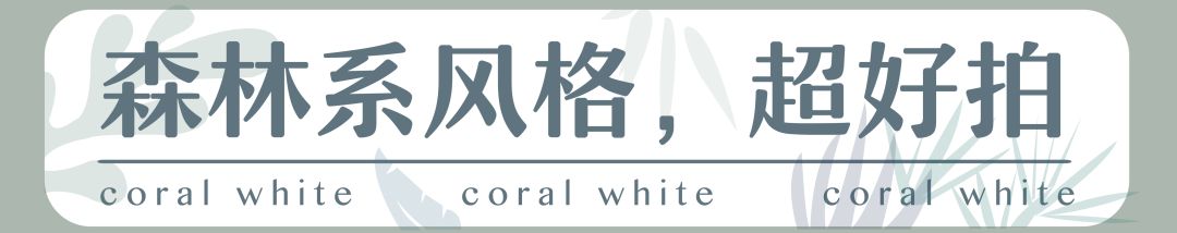 婢虫床妫灄椁愬巺,brunch缃戠孩椁愬巺