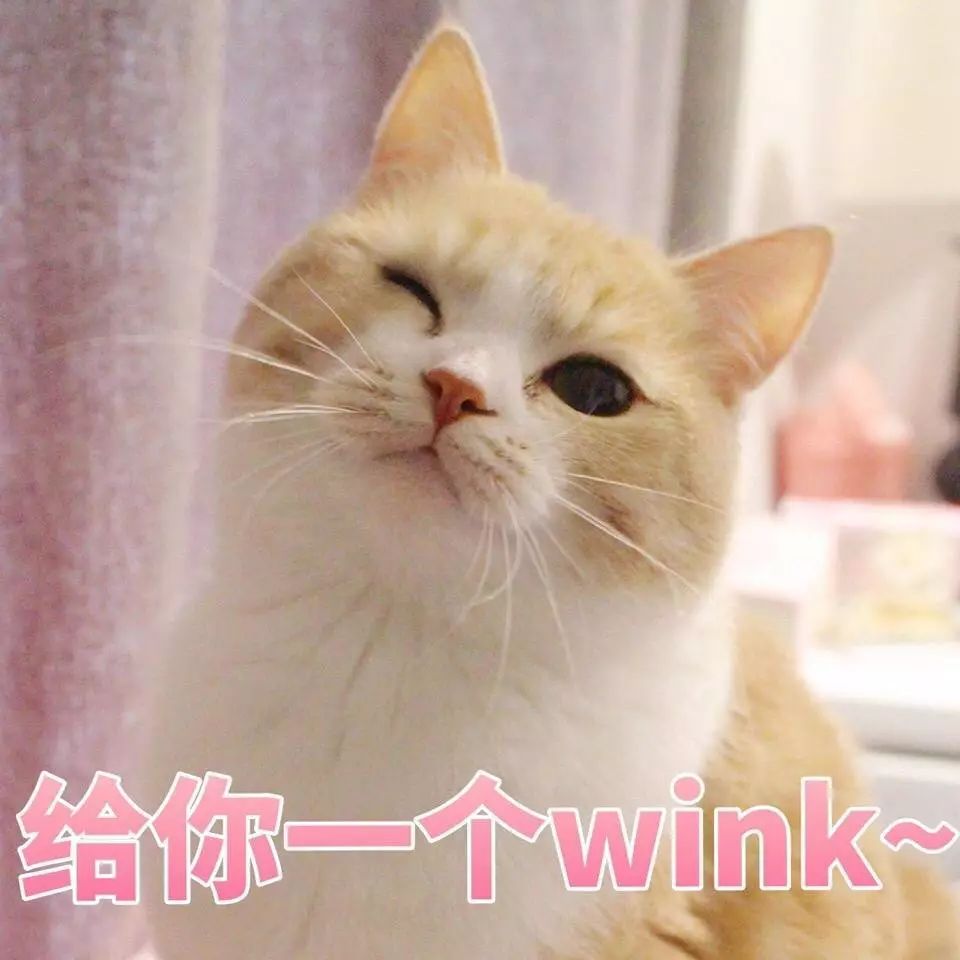 2022年发色流行颜色遮白发,2021最流行染什么颜色发色