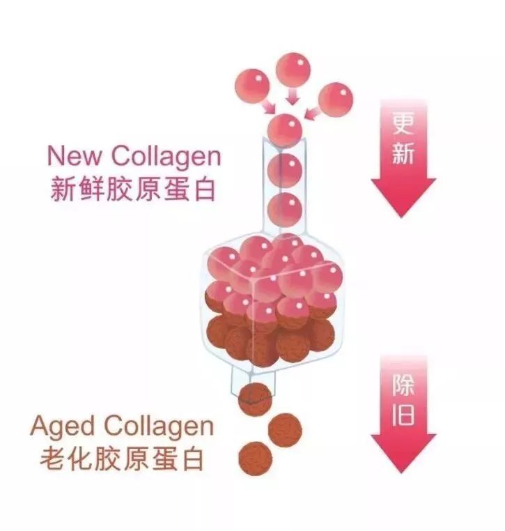 揭秘|弘叔悄悄话：吃了防腐剂般的美貌都是这么来的