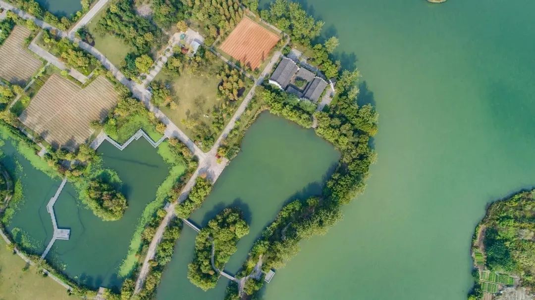 滨江区白马湖,白马湖的传说