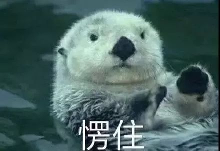 追尾婴儿被摔,急刹车小孩从后座摔下摔到头