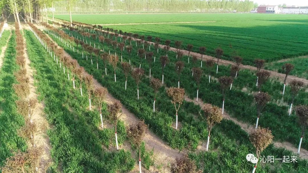沁阳四好乡村路线,祁阳四好农村路
