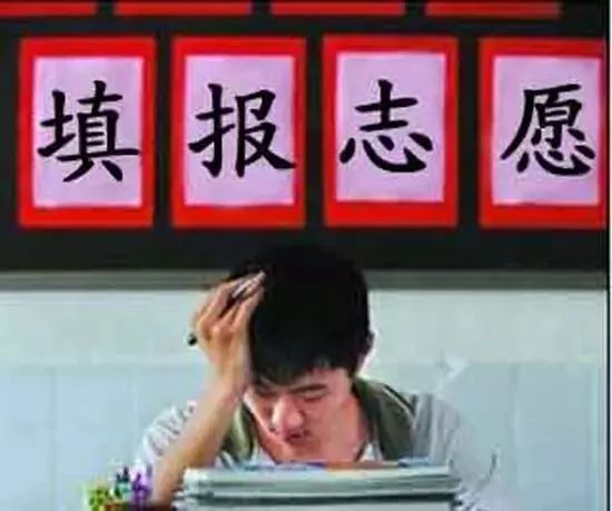 河北高考8624人0分,2019河北高考一分一档线