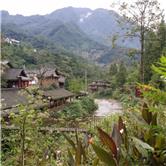 华星创业股吧,华星创业股票股吧最新