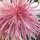 腾邦国际旅游官网,腾邦国际股票