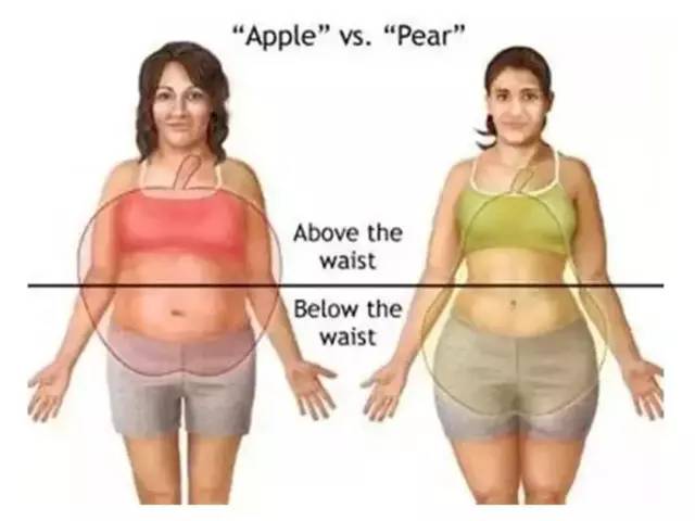 全网黑转粉，看曾经土肥圆如何逆袭碾压一种超模