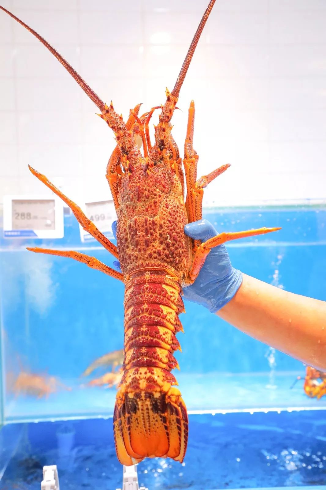 别只知道三里屯！三环4000㎡美颜基地，刚到北京