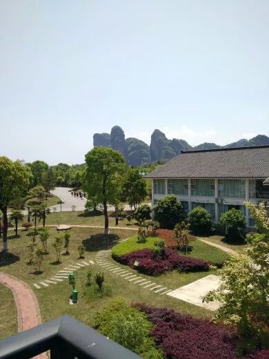 中奖公告丨史上最有效治疗失眠的方法原来是这个！