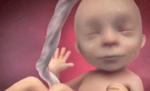 妇产科如何正确指导产妇数胎动,妇产科学讲解