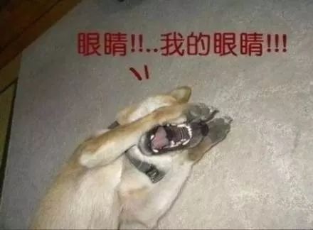 辣眼睛了什么意思,用护肤品辣眼睛是怎么回事