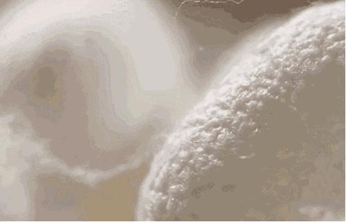 蚕丝被相关报道,桑蚕丝被曝光