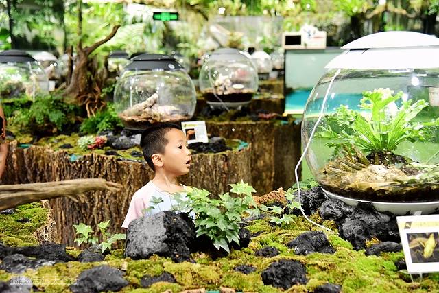 厦门最值得带孩子去玩的景点,带孩子厦门室内旅游景点推荐