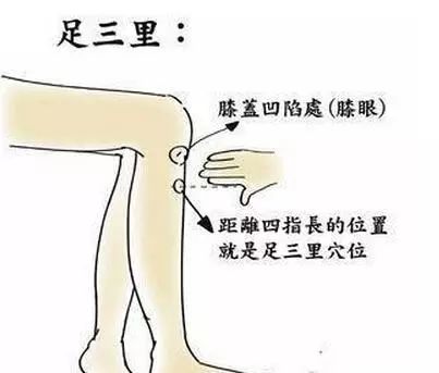 一年四季都有湿气重的表现,夏季三招可以看出体内湿气重不重