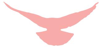 全市足球比赛开赛,上海法院足球比赛