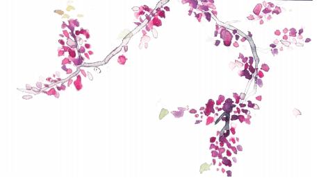 清华专业报考条件,清华报考攻略