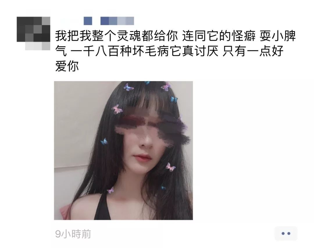 为什么我女朋友的照片头上都是蝴蝶?