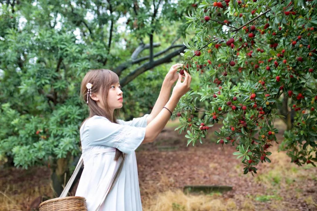这座跟着周杰伦空降热搜的杨梅味小城,休渔期也能让你吃得满嘴鲜