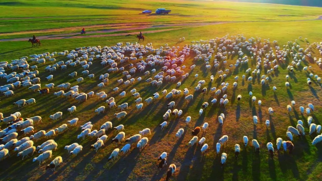 「聚焦」隐藏在CHI（赤）FENG（峰）里的秘密，你发现了吗？