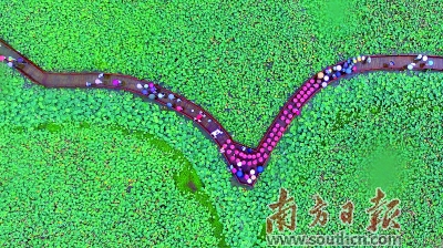 桥头美丽田园农业,桥头农耕小镇