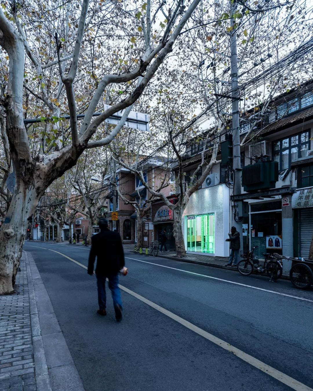 夏天来喝夏天的一杯奶茶,夏天在森林里喝咖啡