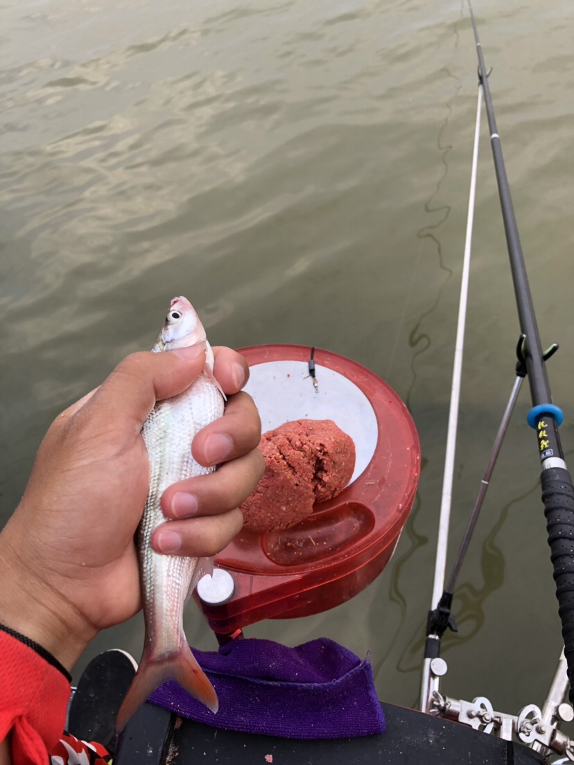 初春河流大水面野钓,大水面滑漂野钓