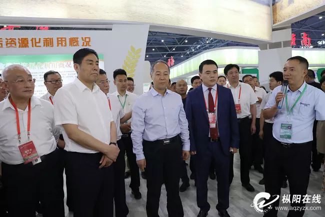 赞！枞阳这项产品获省级金奖