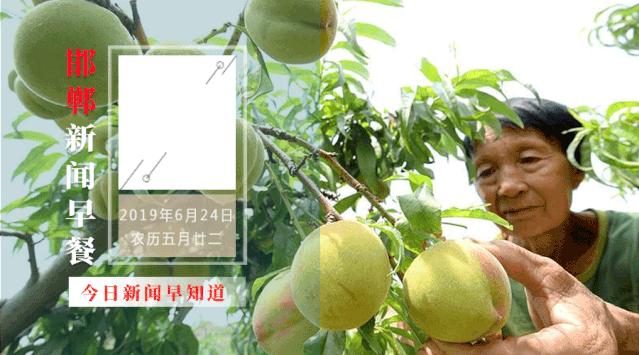 6月24日邯郸新闻早餐