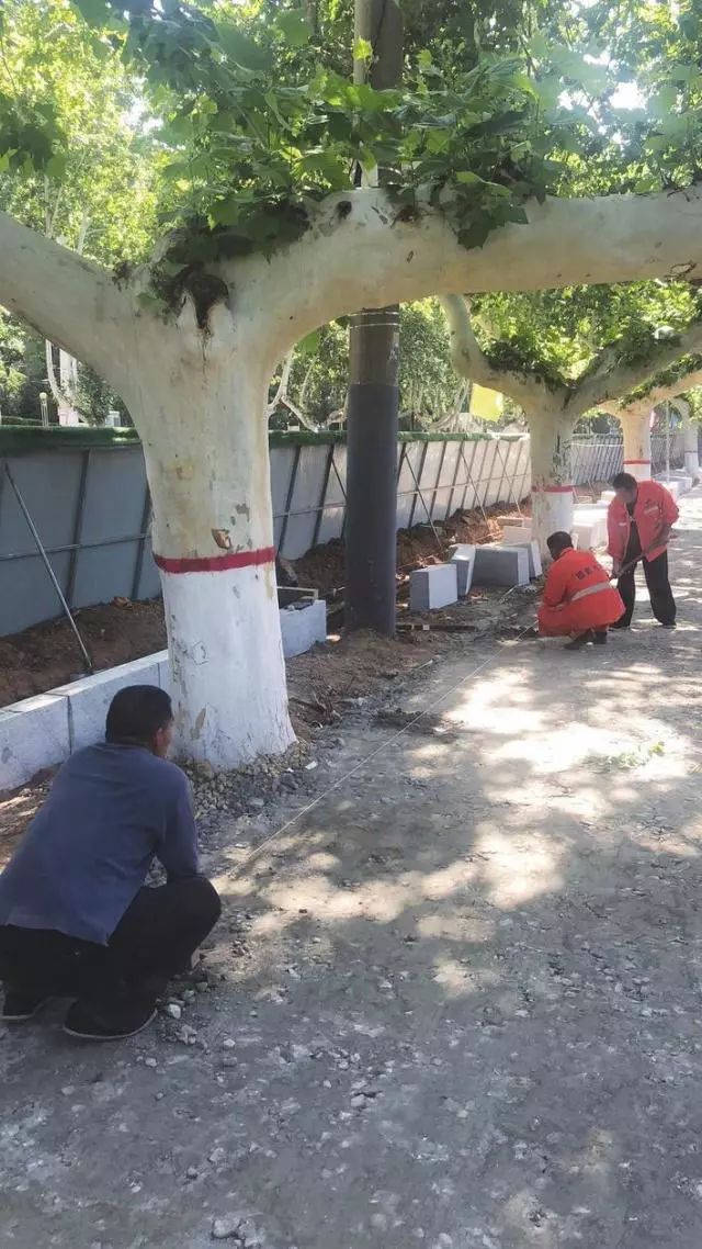 6月24日邯郸新闻早餐