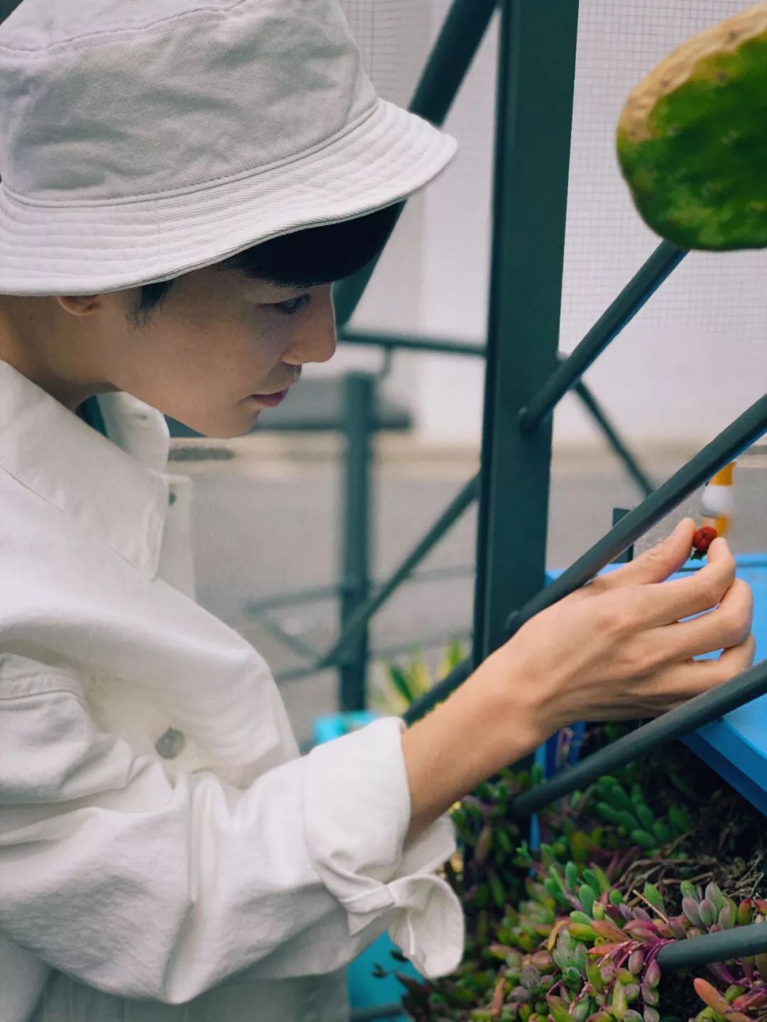 12星座东京能玩什么,12星座浪漫之地怎么玩