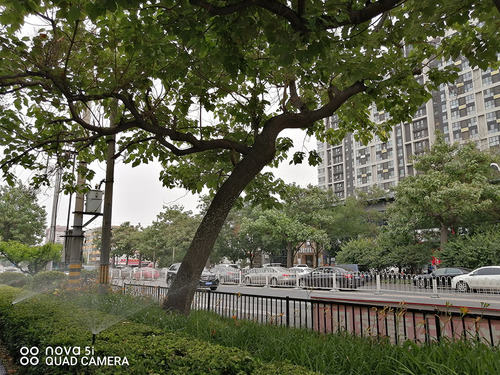 华为nova5i换屏教程,华为nova5ipro