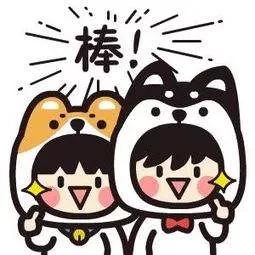 中国好声音新疆半决赛,好声音新疆赛区30强