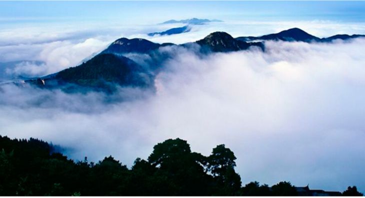 听说90后已经开始脱发了,听说第一批90后已经开始脱发了