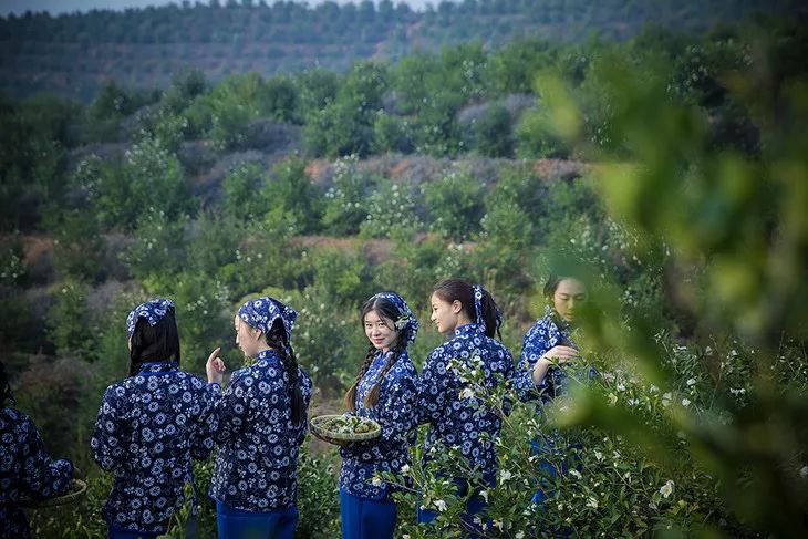 听说90后已经开始脱发了,听说第一批90后已经开始脱发了