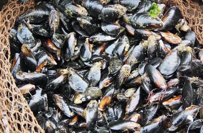 日照有什么好玩的地方,日照金山